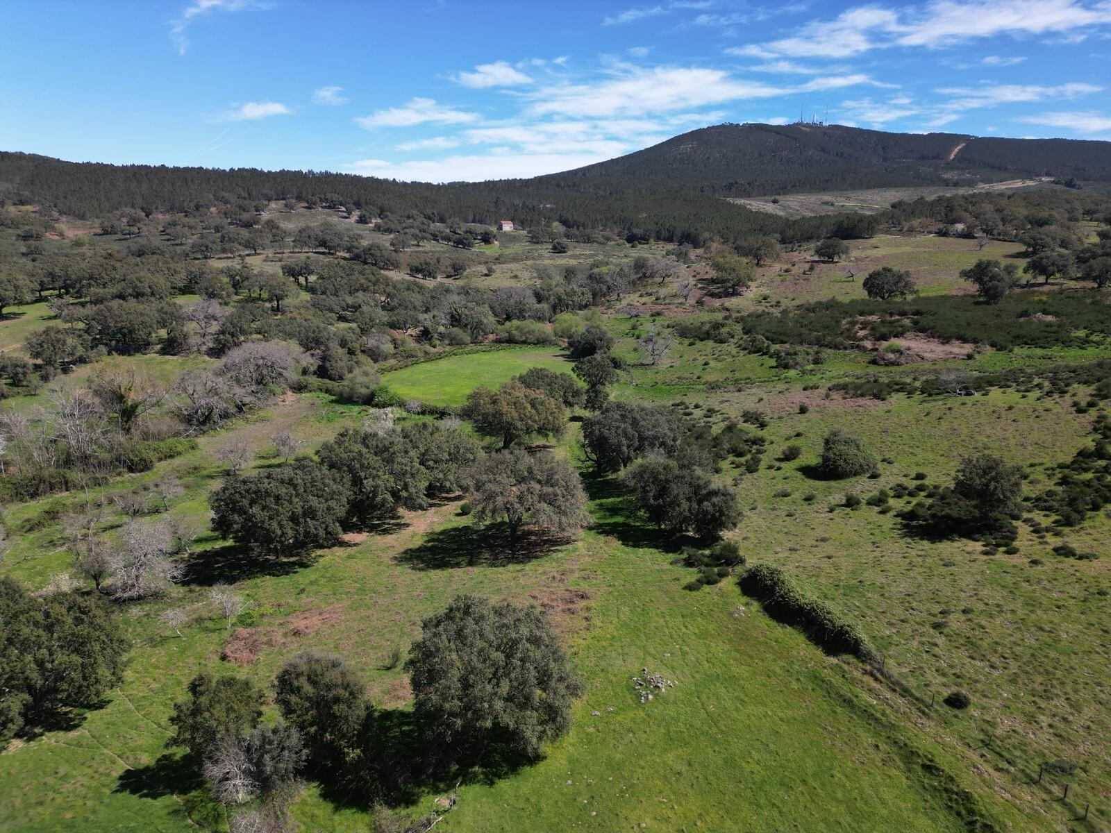 Quinta 103.2 ha, Portalegre - Imagem 24