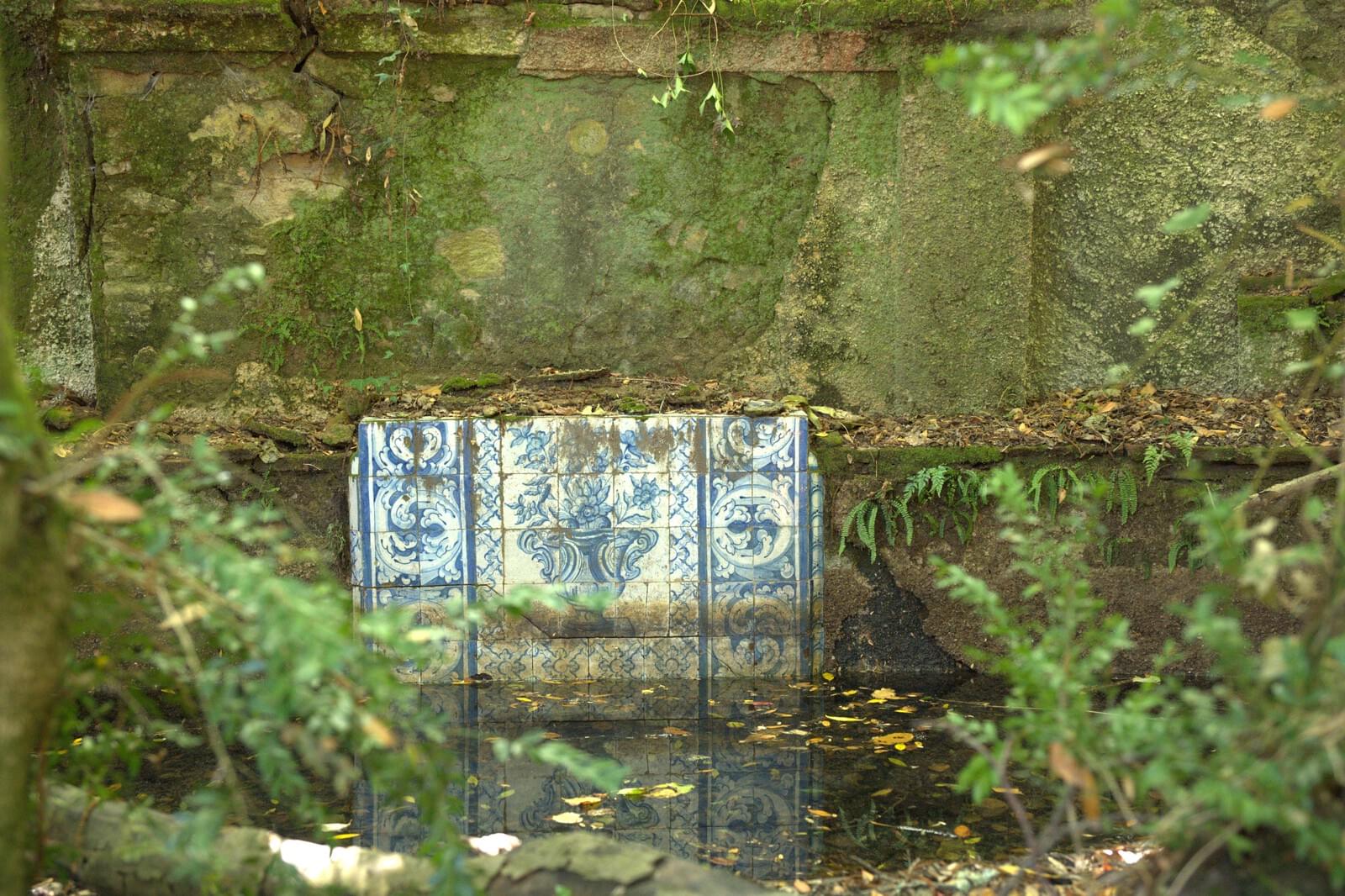 Quinta 103.2 ha, Portalegre - Imagem 34