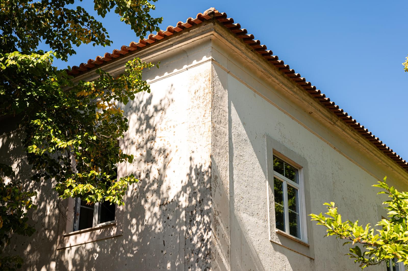 Quinta 103.2 ha, Portalegre - Imagem 32