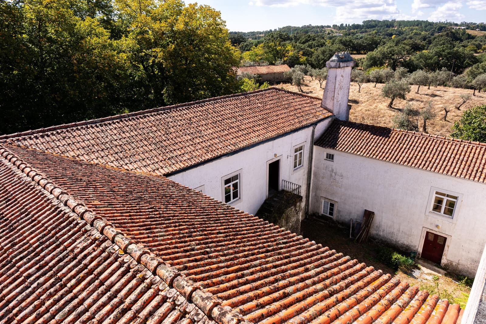 Quinta 103.2 ha, Portalegre - Imagem 9