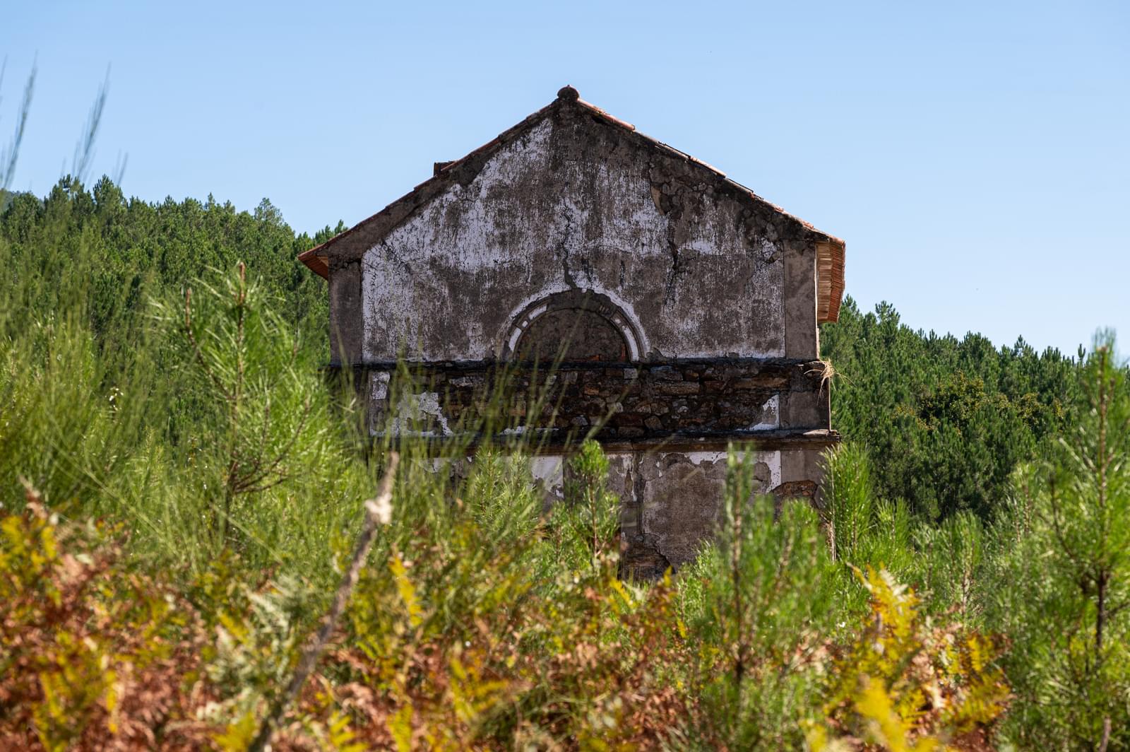 Quinta 103.2 ha, Portalegre - Imagem 27