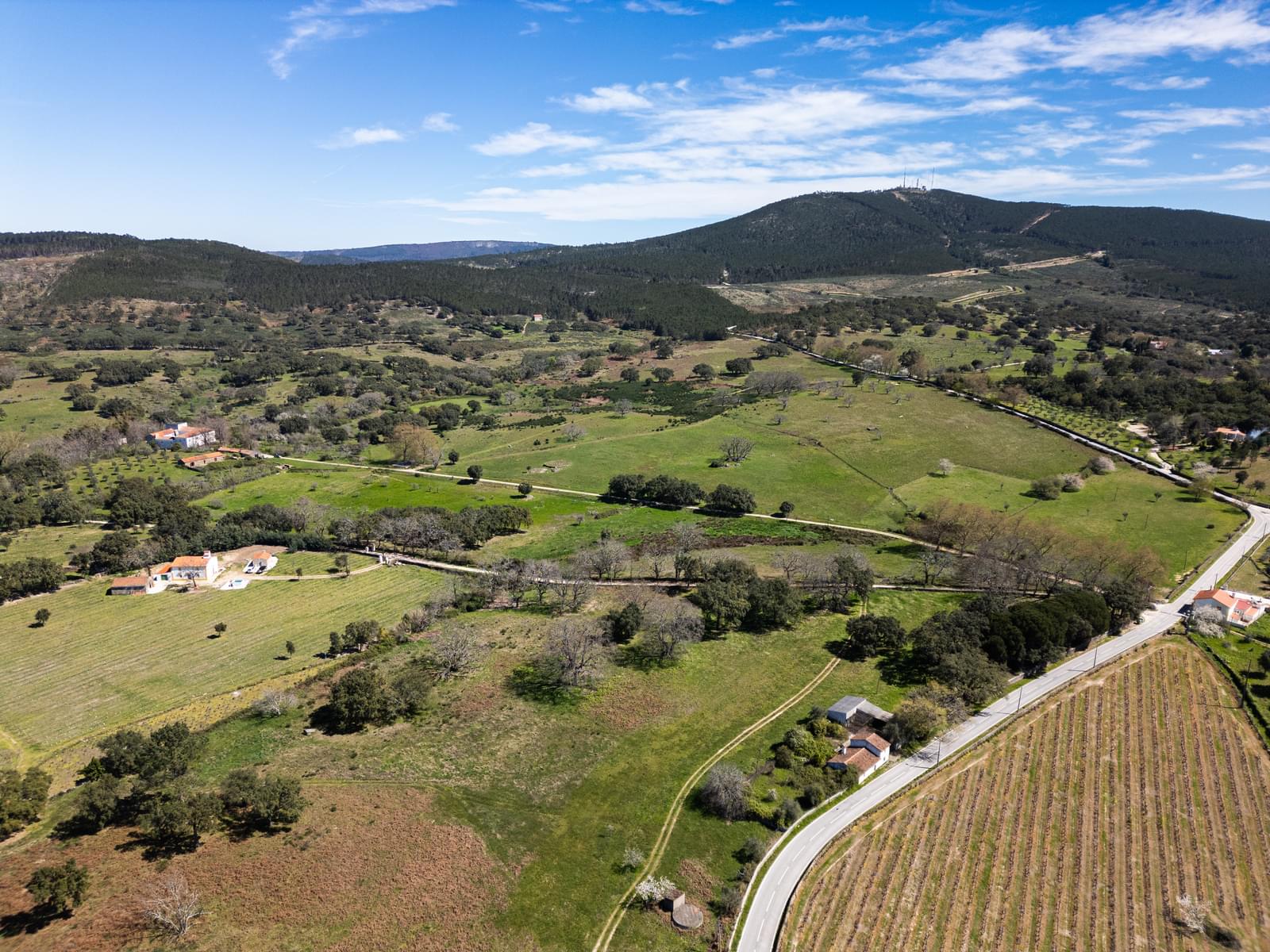 Quinta 103.2 ha, Portalegre - Imagem 19