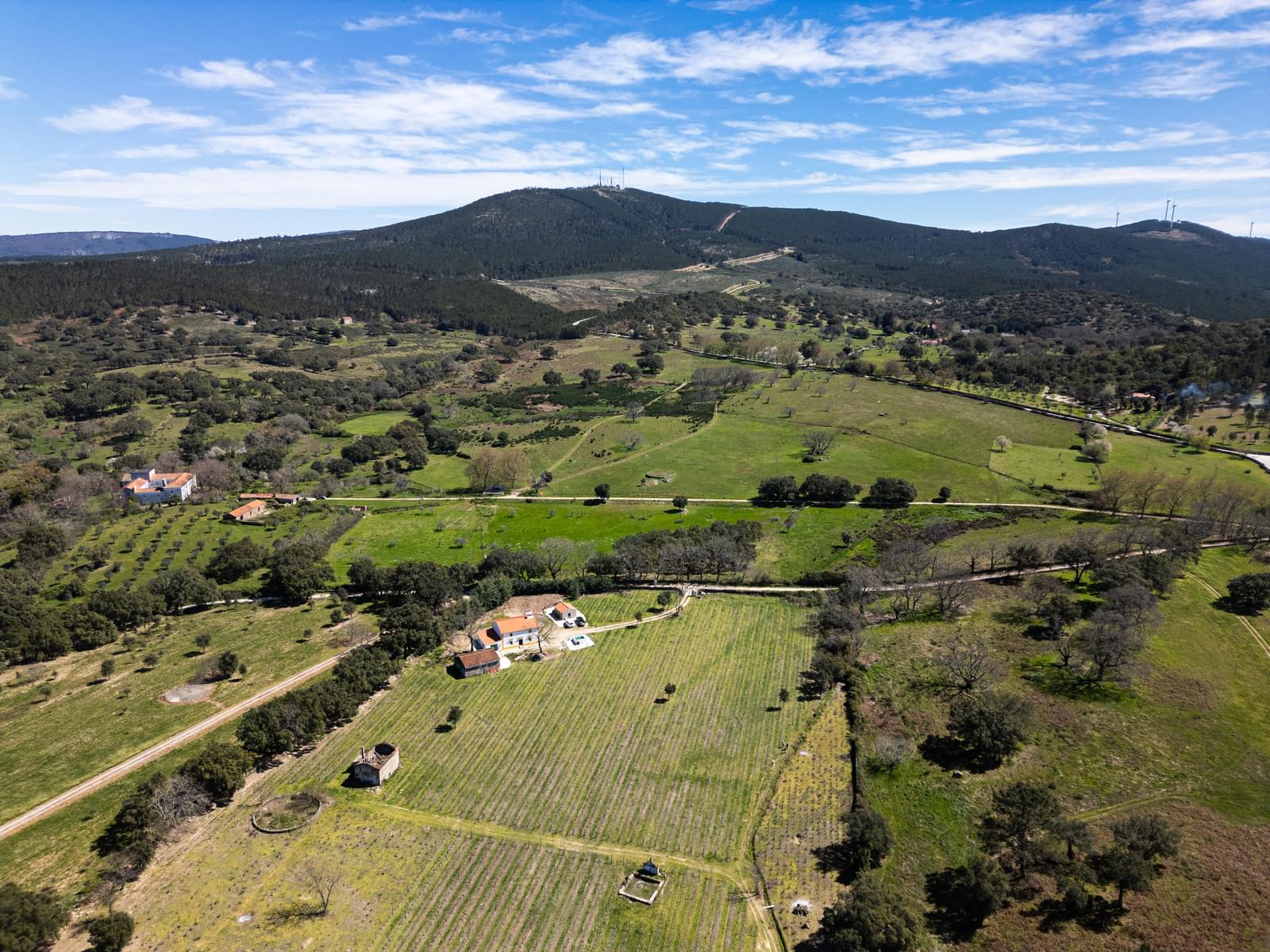 Quinta 103.2 ha, Portalegre - Imagem 20