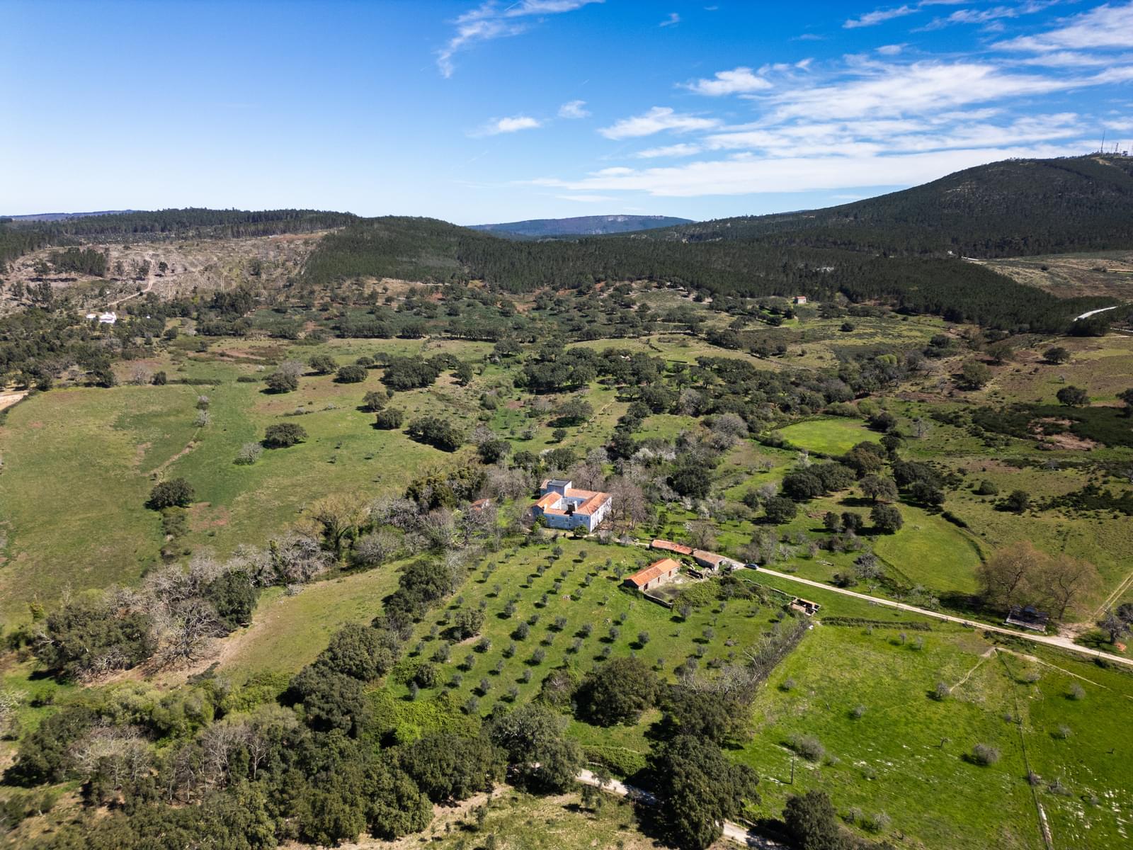 Quinta 103.2 ha, Portalegre - Imagem 17