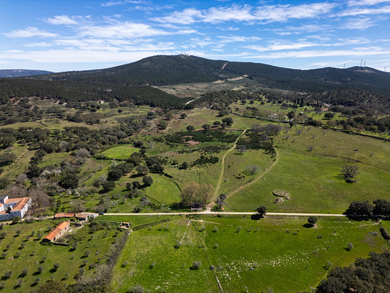 Quinta 103.2 ha, Portalegre - Imagem 21