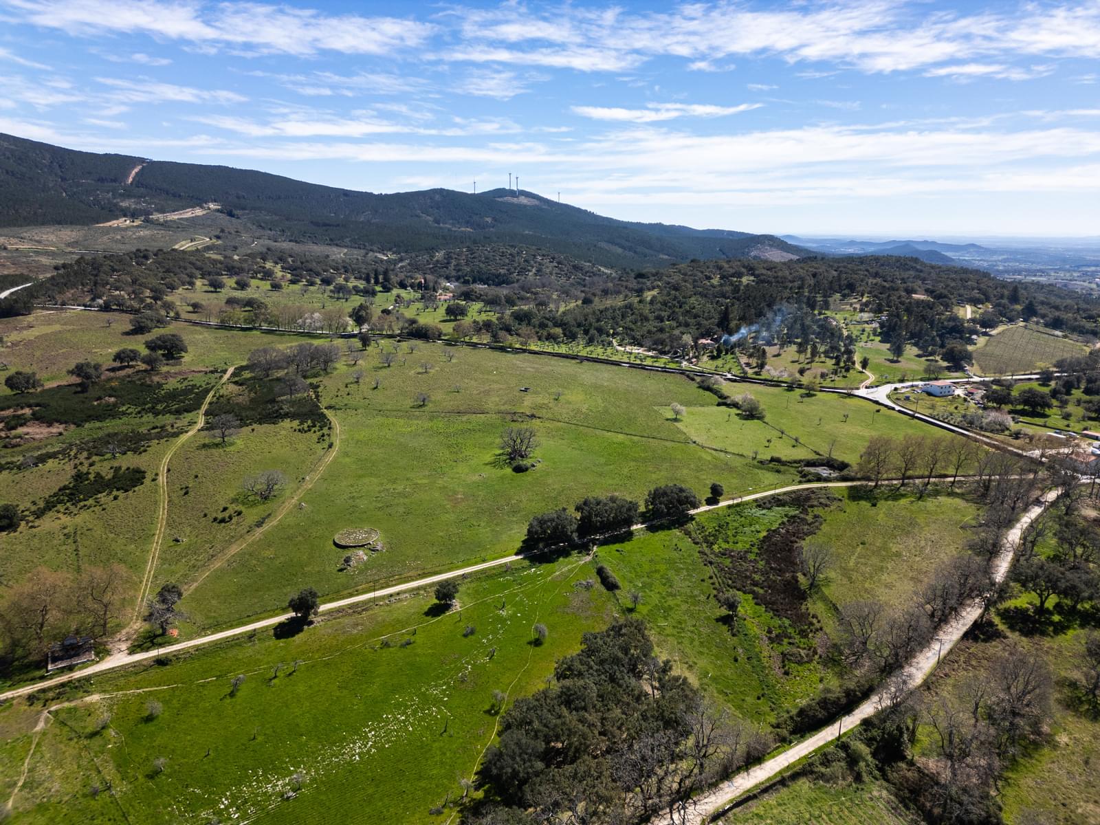 Quinta 103.2 ha, Portalegre - Imagem 22