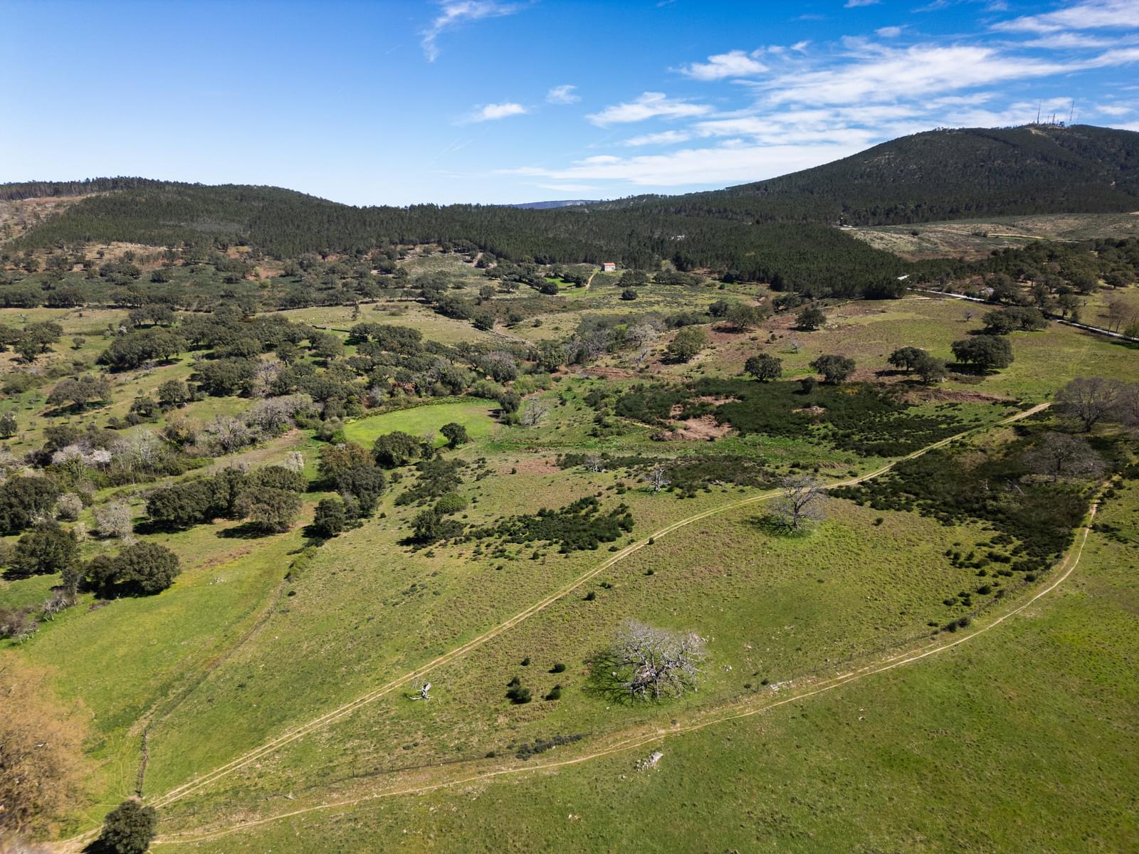 Quinta 103.2 ha, Portalegre - Imagem 23