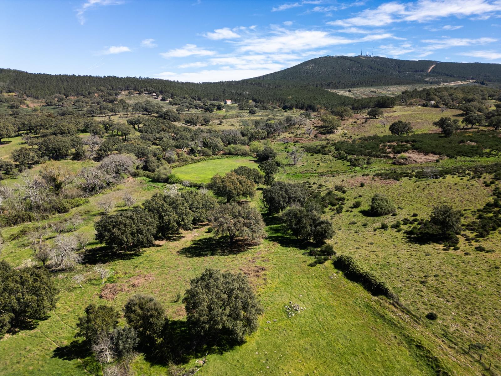 Quinta 103.2 ha, Portalegre - Imagem 18